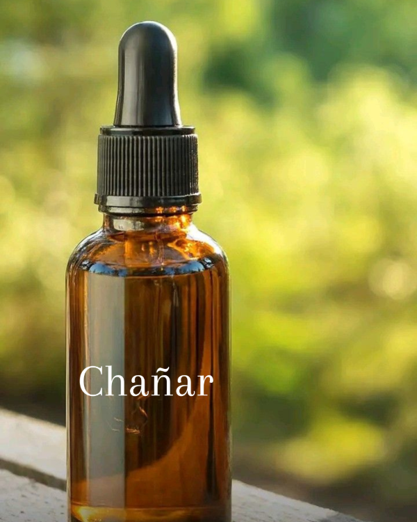 Producto - TM de Chañar