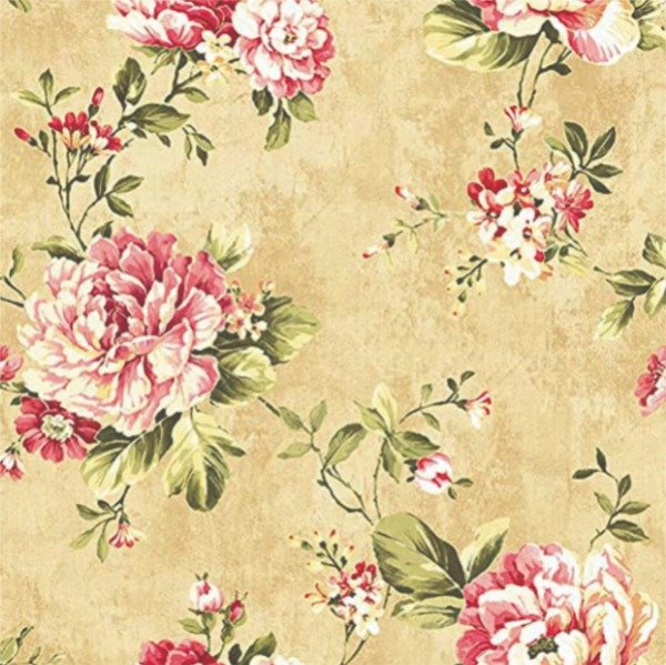 Producto - IMAGEN-362