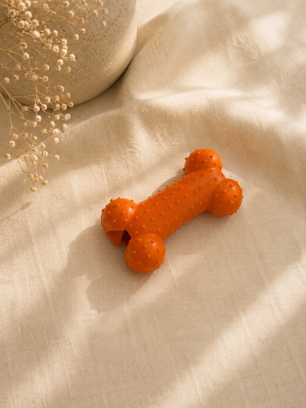 Producto - Hueso Porta Snack Mini