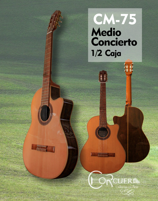 Producto - CM-75 Guitarra Clásica Media Caja Medio Concierto con corte + Funda Ritter