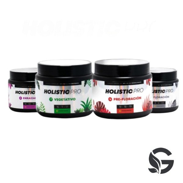 Producto - HOLISTIC PRO STANDARD PACK 500GR