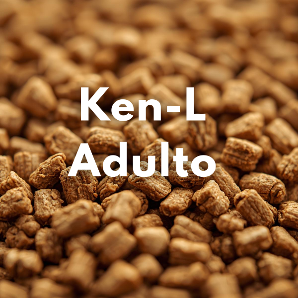 Producto - Ken-L Adulto (Granel)