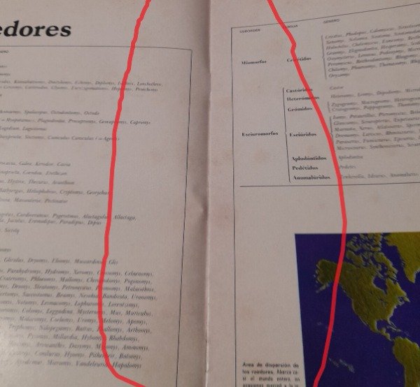 Miniatura de producto - 7