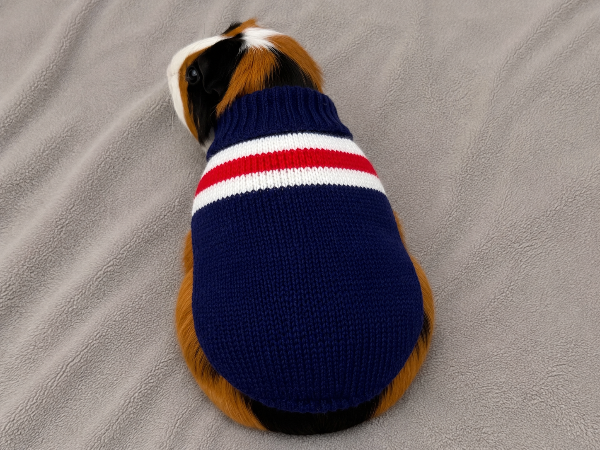 Producto - Ponchito tejido azul