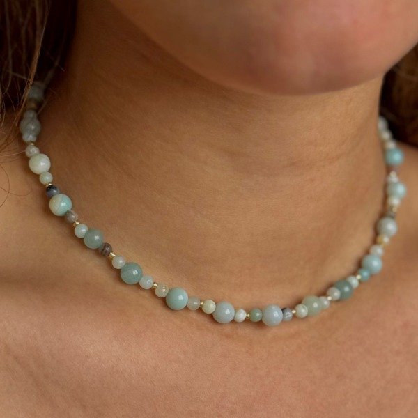 Producto - COLLAR AMPI