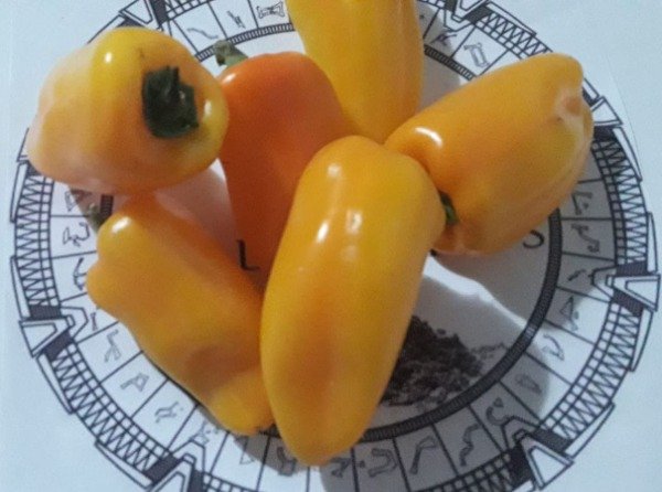 Miniatura de producto - 1