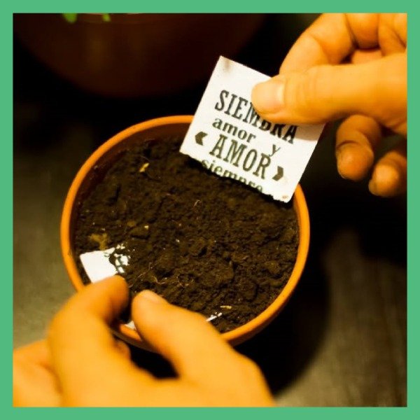 Producto - Tarjeta Plantable Bautismo - 2