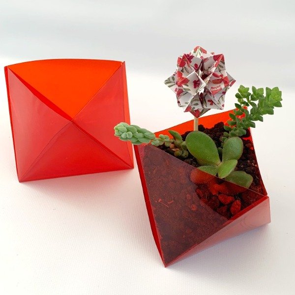 Producto - Macetas plegadas sin planta - 2