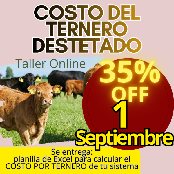 Producto - Taller Online: Costo del Ternero - 0