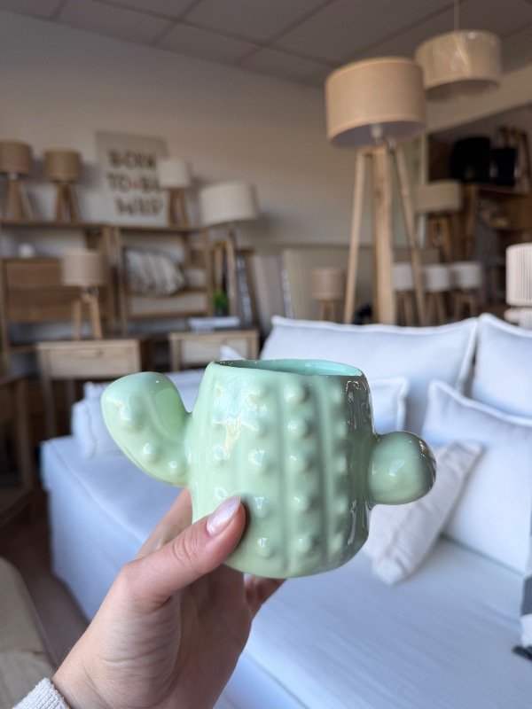 Producto - Maceta cactus