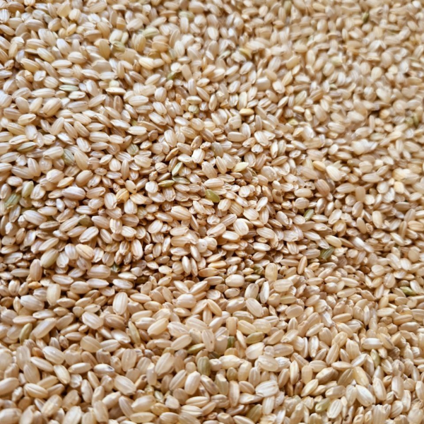 Producto - Arroz Yamaní integral - por peso [Chacra Monteflore]