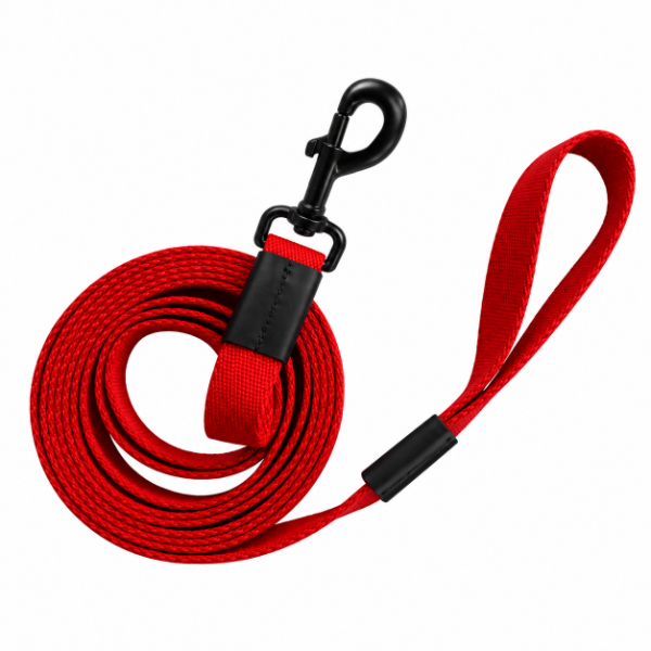 Producto - CORREA REFORZADA DE 3 Metros / 25mm - 4