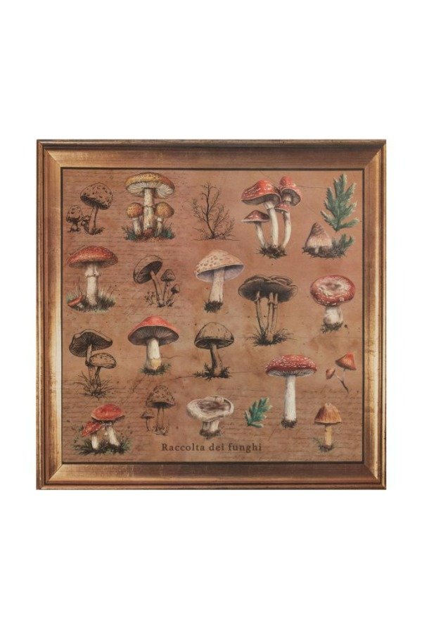 Producto - Pack Papel Sustentable Funghi