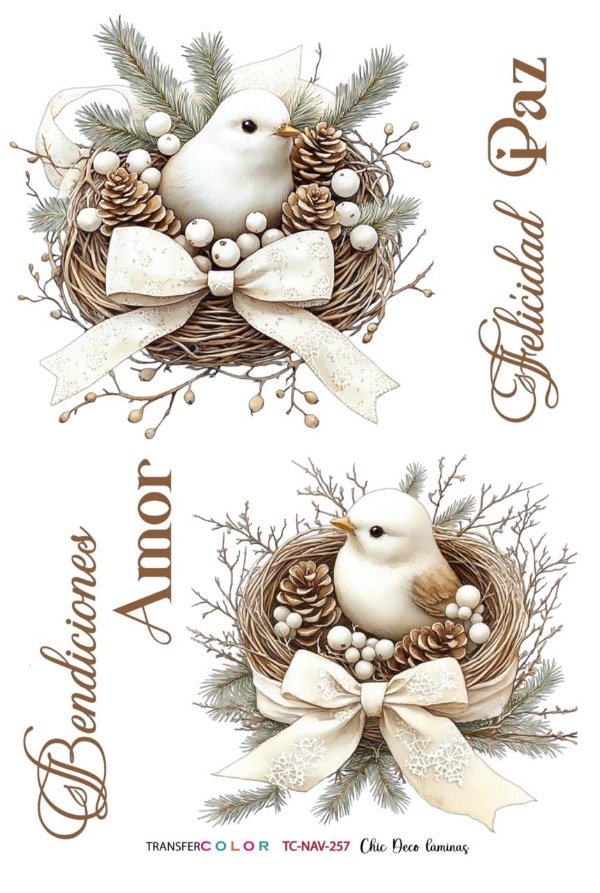 Producto - TransferCOLOR A4 TC 257