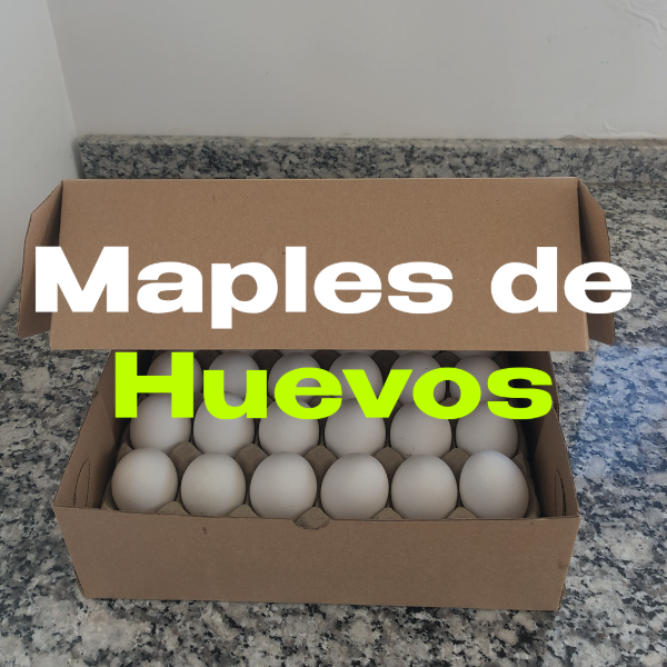 Producto - Maples de Huevos XL