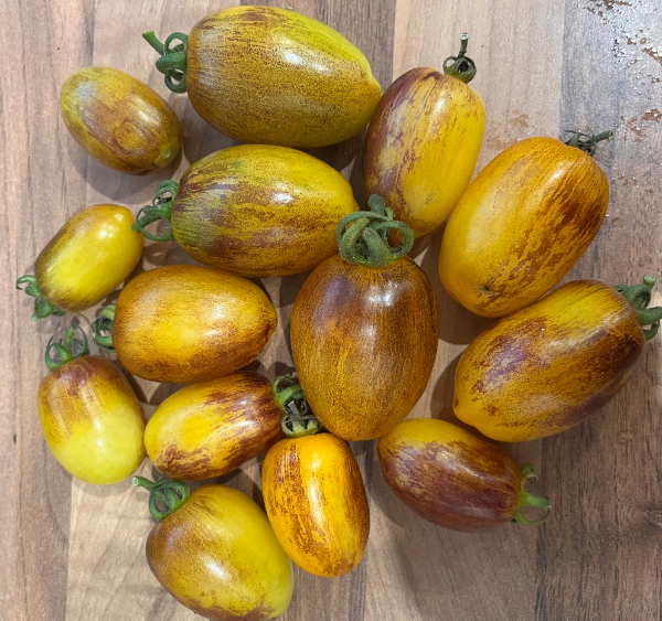 Producto - SEMILLAS DE TOMATE CHERRY GOLDEN HOUR MICRO DWARF CESTA COLGANTE