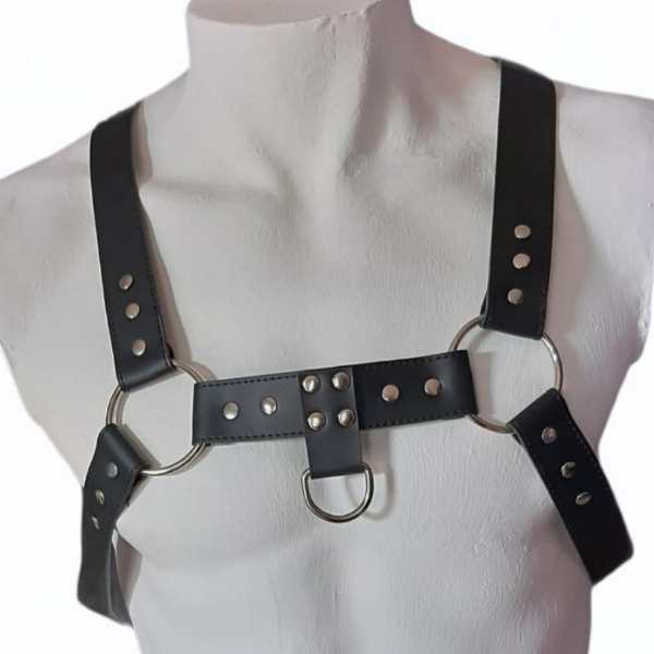 Producto - ARNÉS PECHERA