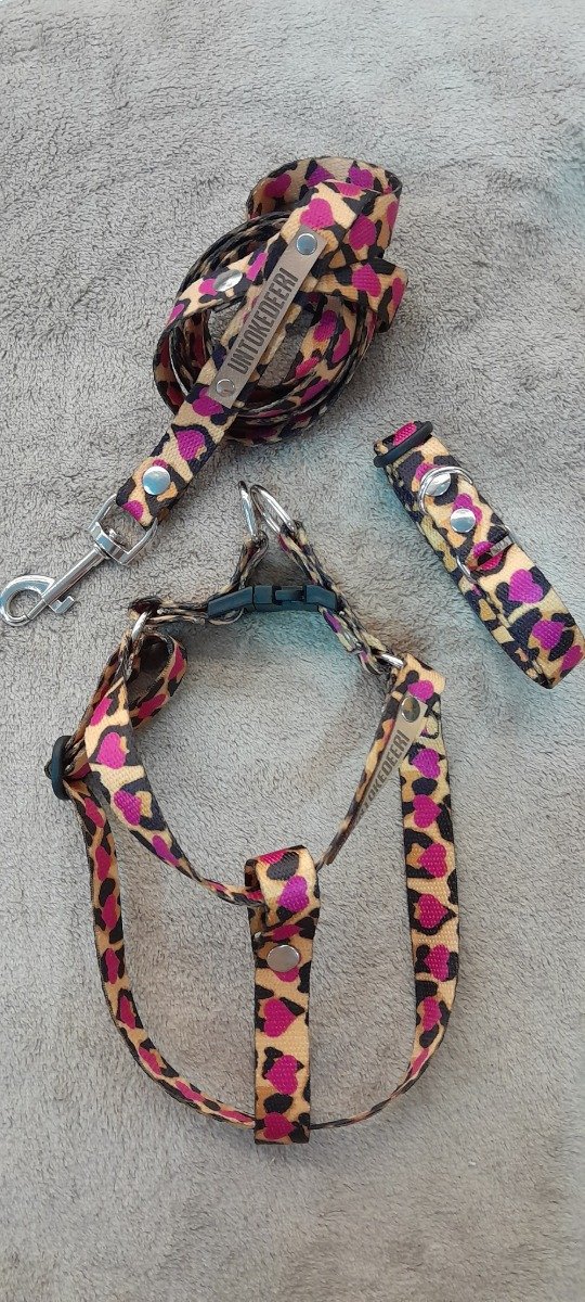 Producto - PRETAL 1.5 - CONJUNTO