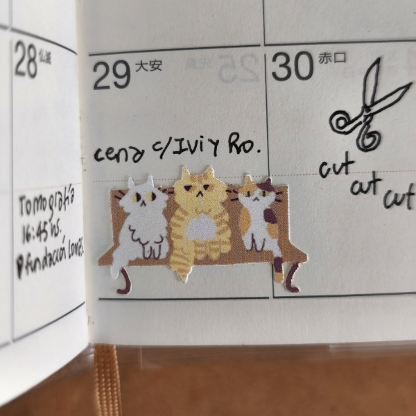 Miniatura de producto - 7