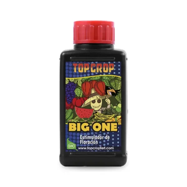 Producto - Big One 100ml