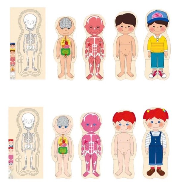 Producto - Rompecabeza cuerpo humano Masculino