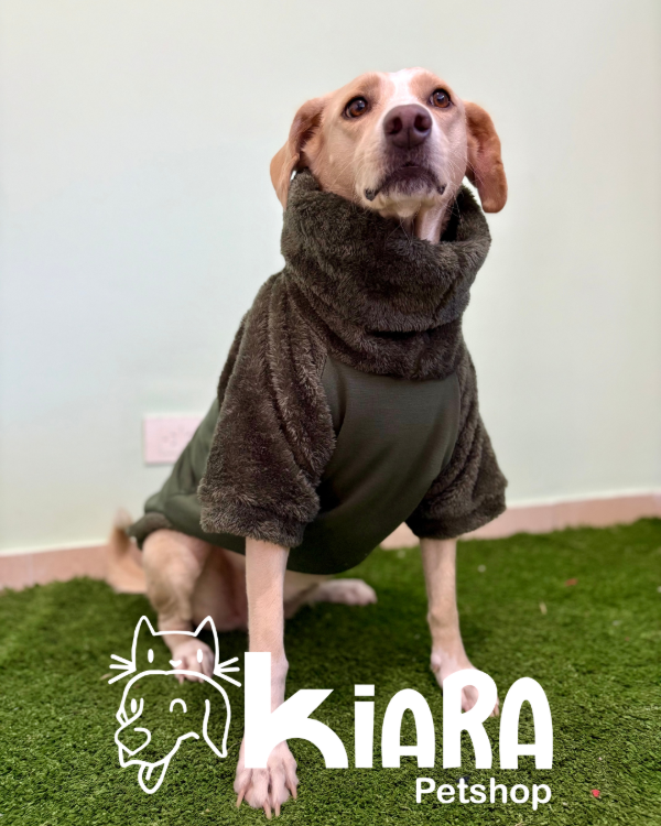 Producto - Poleron para Perros Grandes