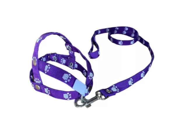 Producto - Conjunto correa + pretal
