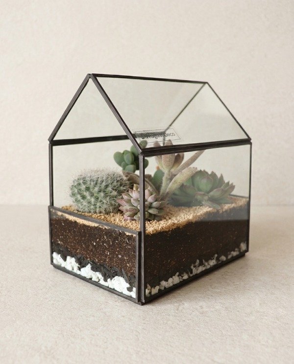 Producto - TERRARIO ROMA