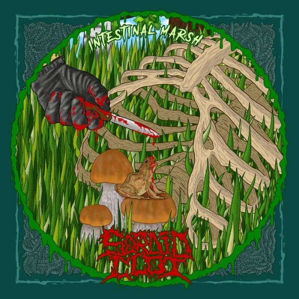 Producto - SORDID CLOT / HYDROPSY SPLIT