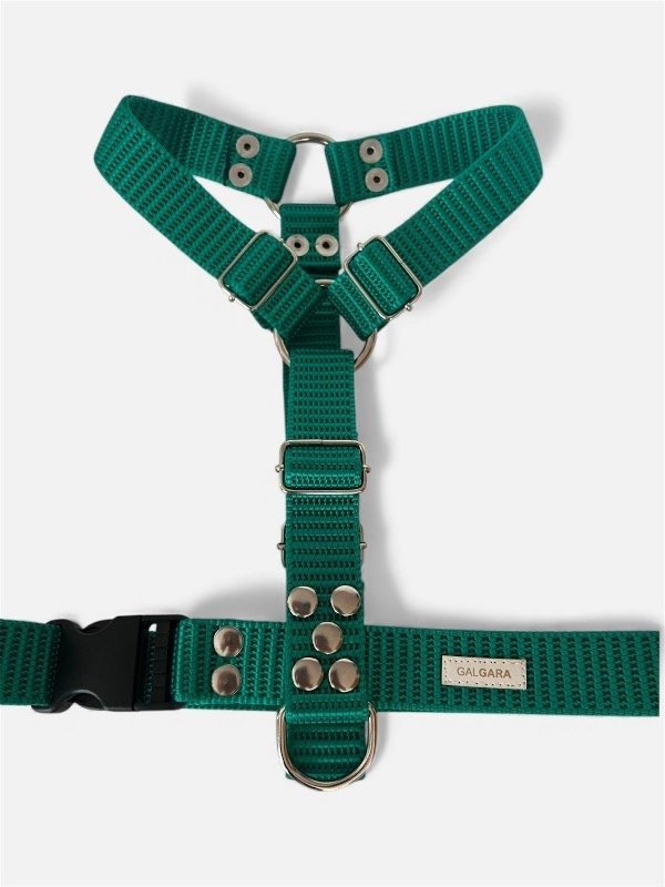 Producto - Pretal H CINTA NATO