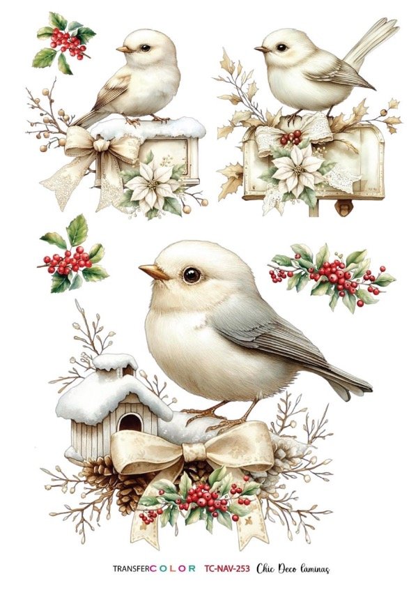 Producto - TransferCOLOR A4 TC 253