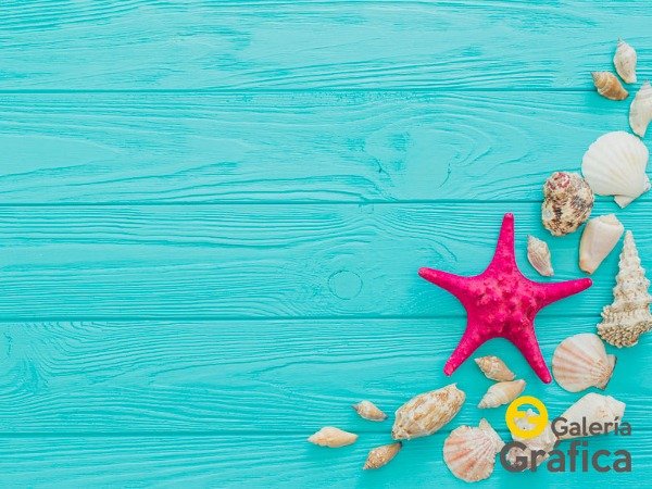 Producto - Mar Playa FS 15