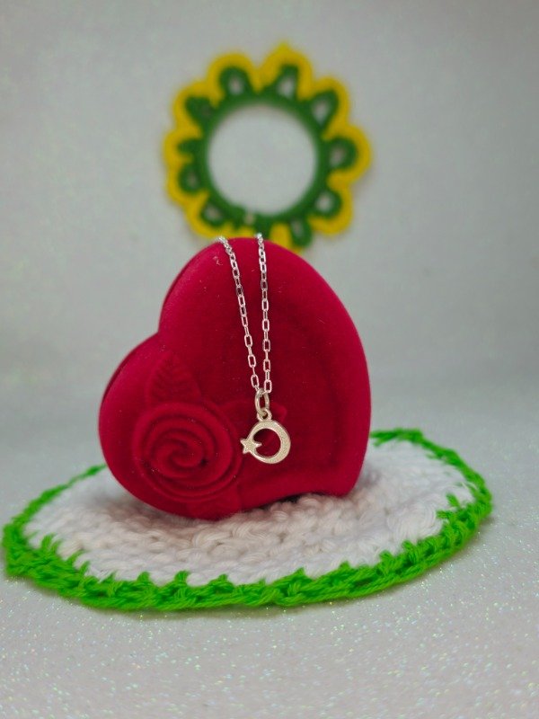 Producto - Cadena + dije luna strella