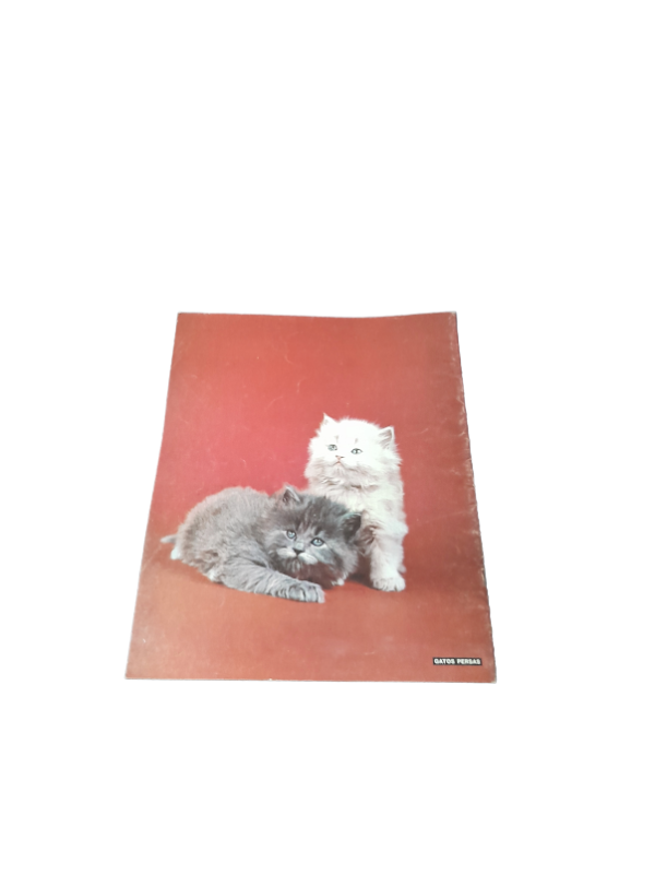 Miniatura de producto - 8