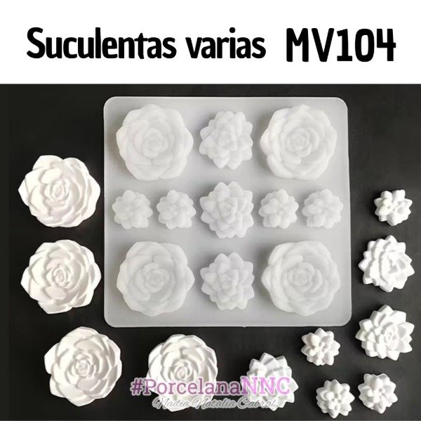 Producto - Suculentas varias MV104