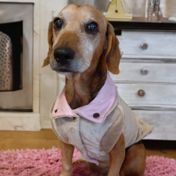 Miniatura de producto - 5