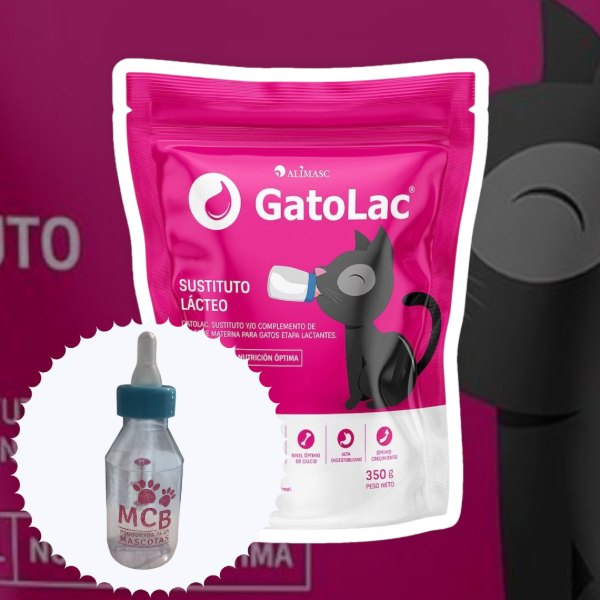 Producto - GatoLac, sustituto lácteo en polvo para gato cachorro, 350g + biberón 75ml.