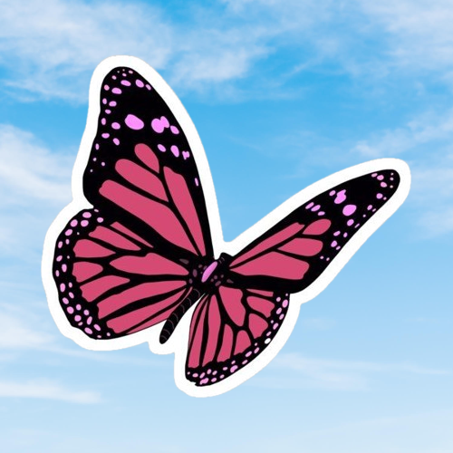 Producto - Mariposas 11