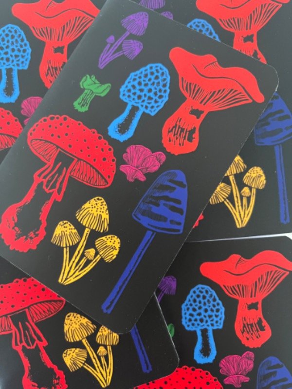 Producto - Libreta HONGUITOS