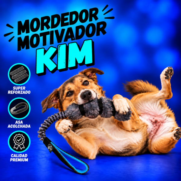 Producto - MORDEDOR MOTIVADOR / KIM - 1
