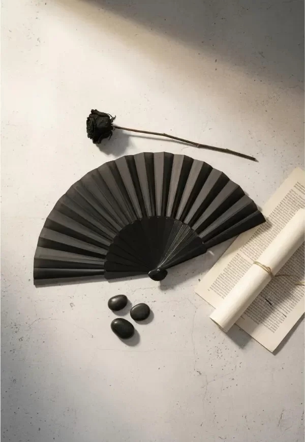 Producto - ABANICO NEGRO