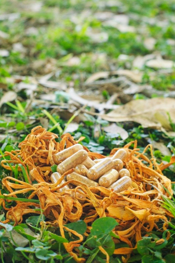 Producto - Cápsulas Cordyceps x30