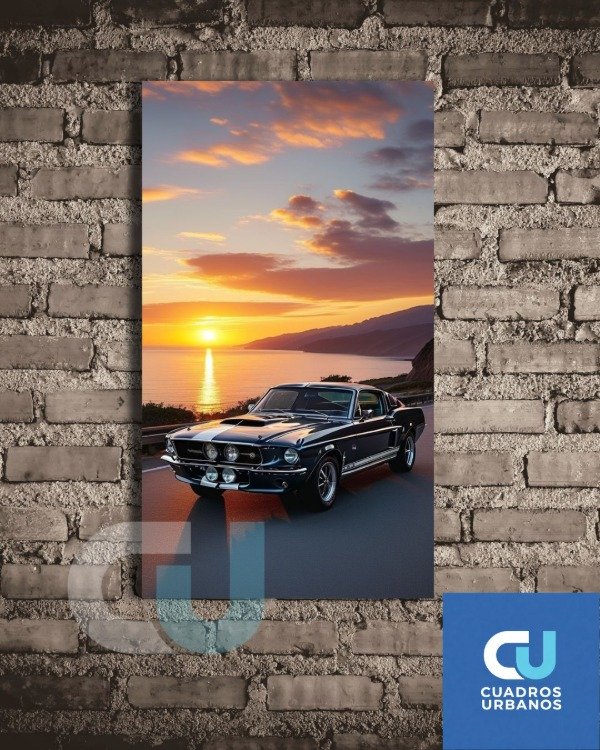 Producto - Autos clasicos 14