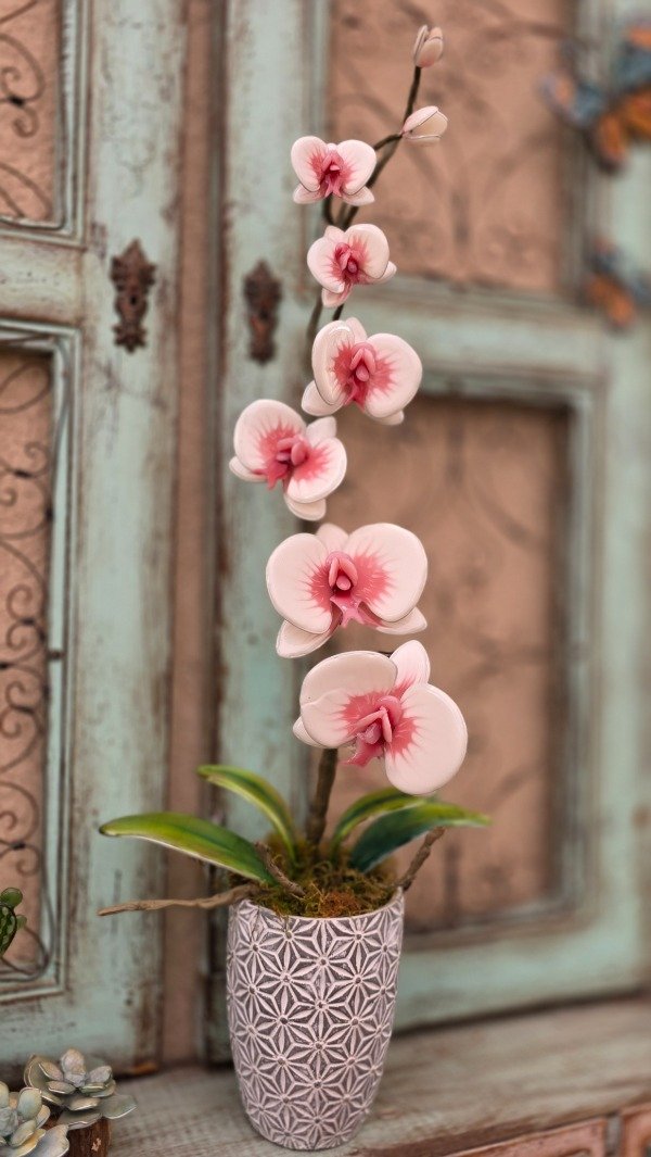 Producto - MASTER ORQUIDEAS ONLINE - 1