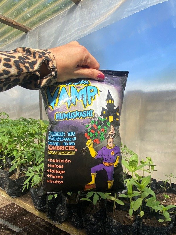 Producto - Humuskashi