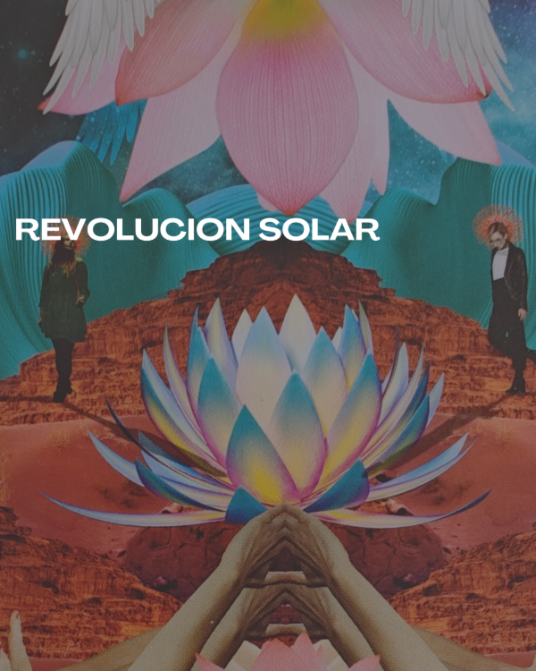 Producto - Revolución Solar