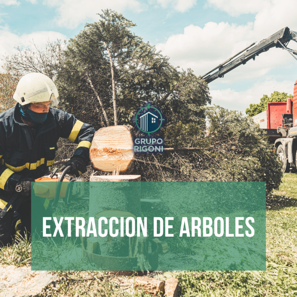 Producto - EXTRACCION DE ARBOLES