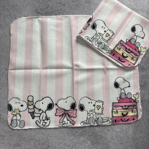 Producto - REPASADOR - SNOOPY II