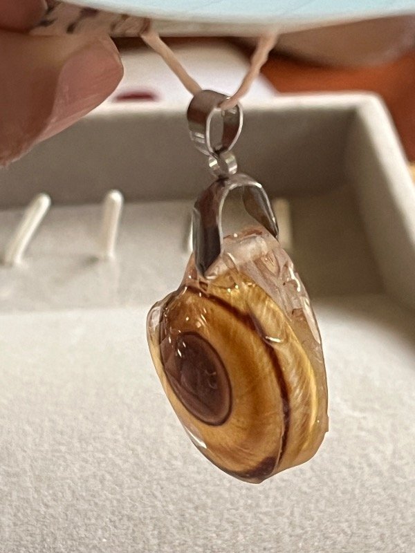 Producto - Variedad 24 caracol - 3