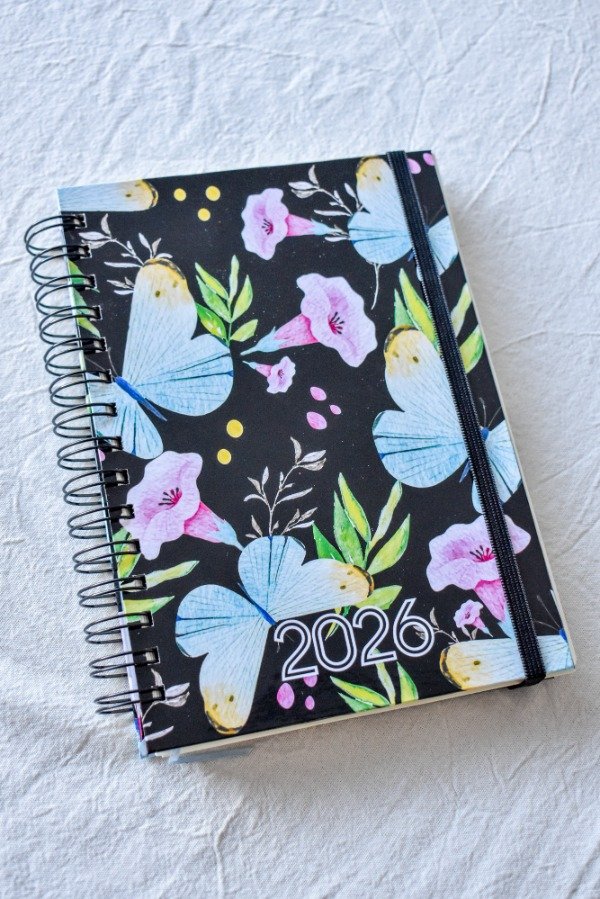 Producto - Agenda Docente - Luces y Mariposas